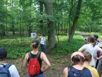 IMG_20220611_123136